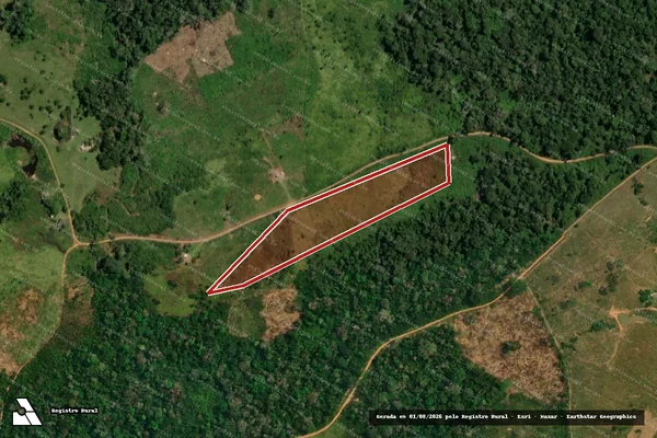 Imagem de satélite — Embargo IBAMA — Infração da Flora - Capixaba/AC