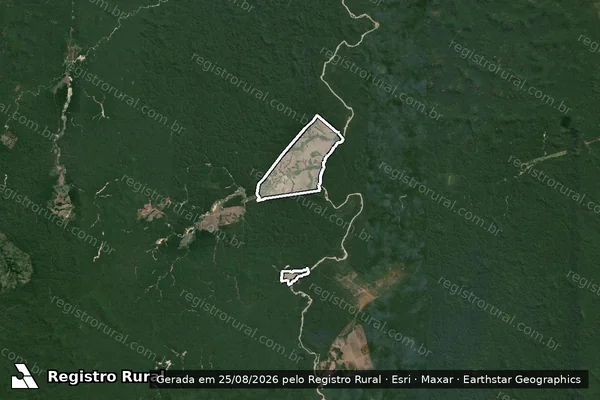 Imagem de satélite de Infração Ambiental em Itaituba - PA