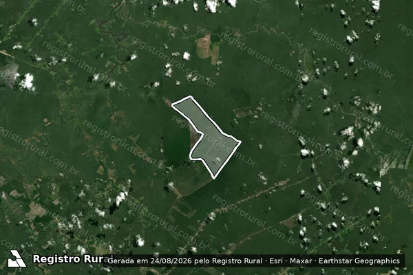 Imagem de satélite de Infração da Flora em Prainha - PA