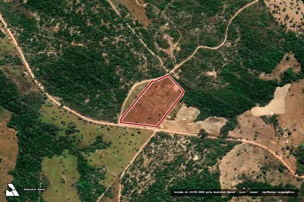 Imagem de satélite de Infração da Flora em Niquelândia - GO