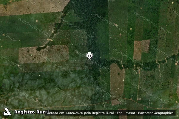 Imagem de satélite de Infração da Flora em Porto Velho - RO (marcador da localização)