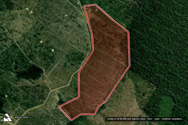Imagem de satélite de Infração da Flora em Portel - PA
