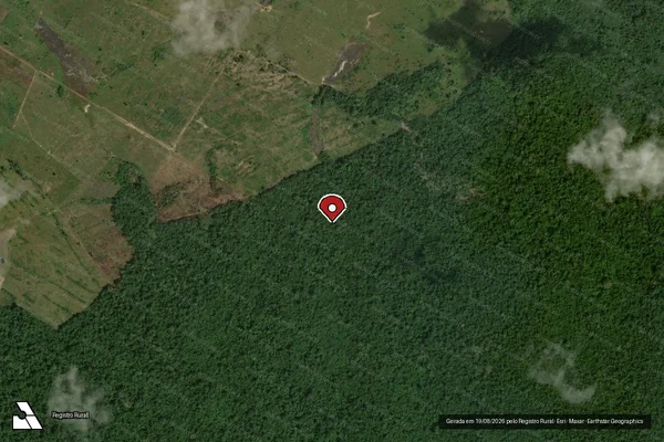 Imagem de satélite de Desmatamento em Caracaraí - RR (marcador da localização)