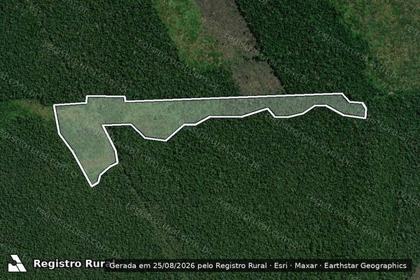 Imagem de satélite de Infração Ambiental em Humaitá - AM