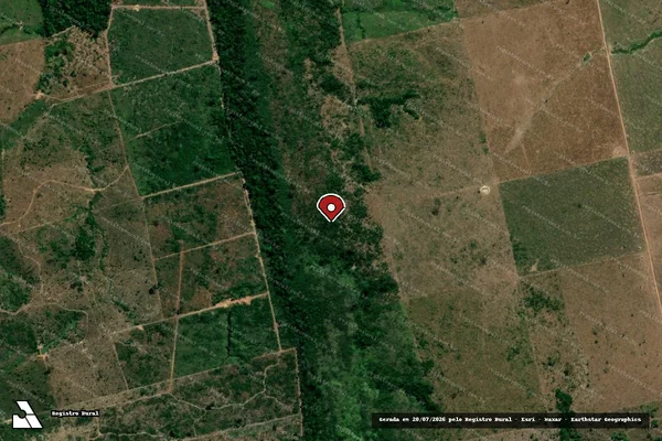 Imagem de satélite de Infração Ambiental em Colniza - MT (marcador da localização)