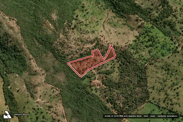 Imagem de satélite de Desmatamento em Pilar de Goiás - GO