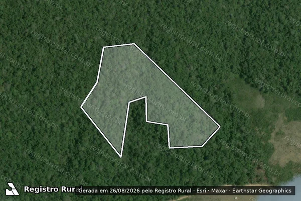 Imagem de satélite de Infração da Flora em Parintins - AM