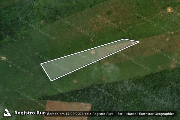 Imagem de satélite — Embargo IBAMA — Desmatamento - Porto Velho/RO