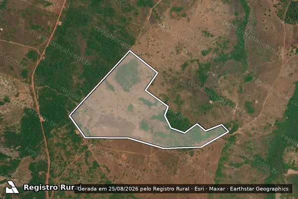 Imagem de satélite — Embargo Ambiental - Araguacema/TO