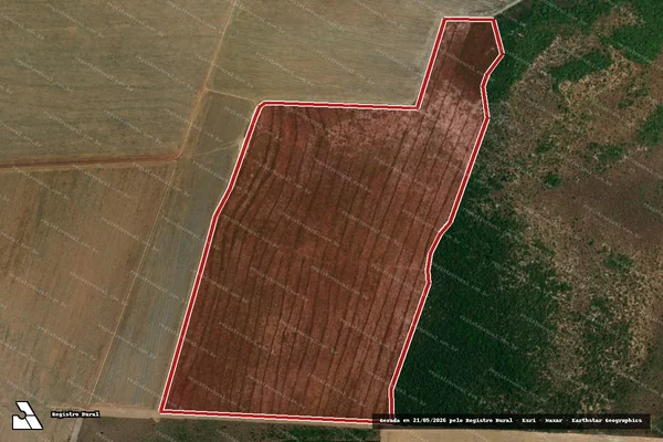 Imagem de satélite de Infração da Flora em Balsas - MA