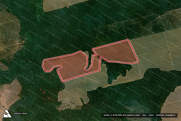 Imagem de satélite de Infração da Flora em Altamira - PA