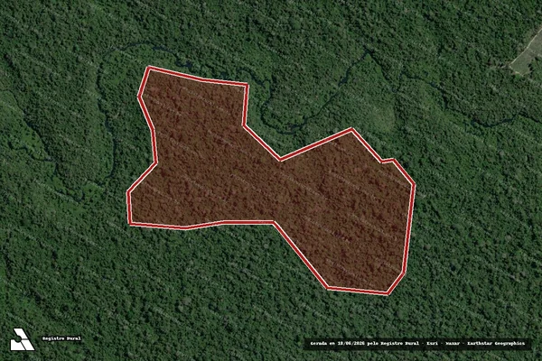Imagem de satélite de Infração Ambiental em Medicilândia - PA