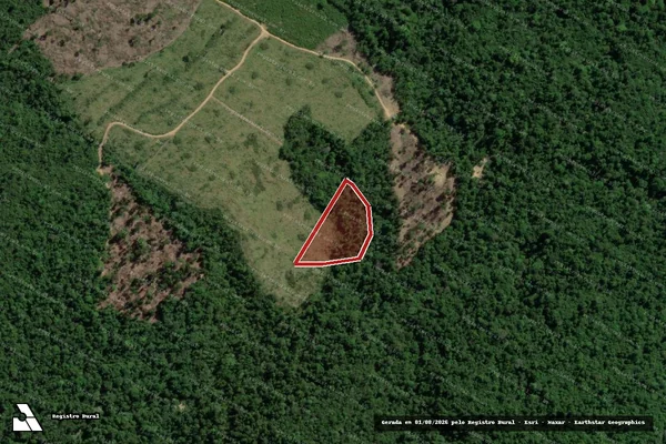 Imagem de satélite de Infração da Flora em Rondon do Pará - PA