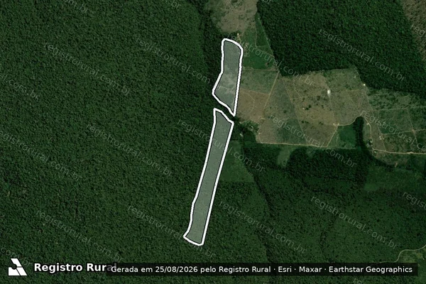 Imagem de satélite de Infração da Flora em Portel - PA