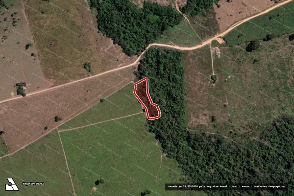 Imagem de satélite de Infração Ambiental em Novo Progresso - PA