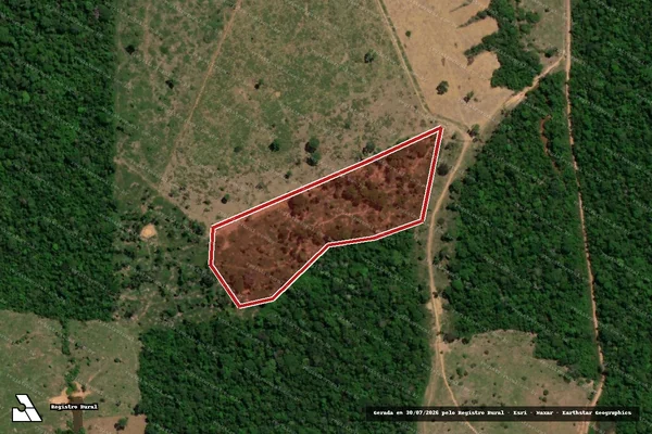 Imagem de satélite de Infração Ambiental em Porto Velho - RO
