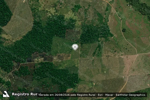Imagem de satélite — Embargo IBAMA — Infração da Flora - Manaus/AM