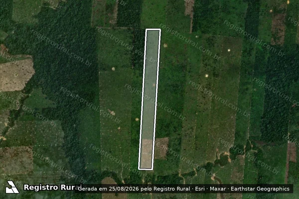 Imagem de satélite de Infração da Flora em Porto Velho - RO