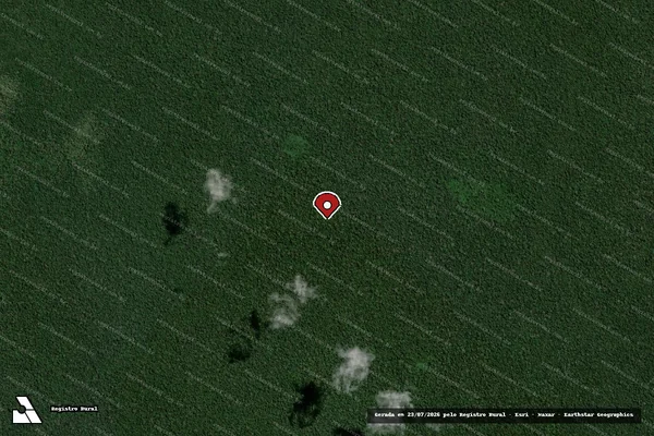 Imagem de satélite — Embargo IBAMA — Infração da Flora - Guajará-Mirim/RO