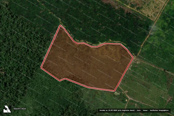 Imagem de satélite de Infração Ambiental em Porto Velho - RO