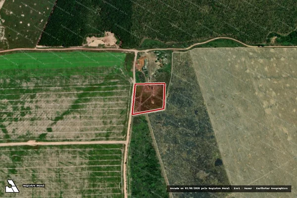 Imagem de satélite de Infração Ambiental em Tailândia - PA