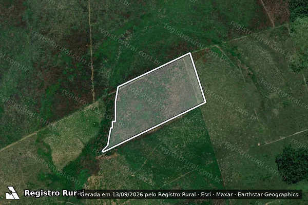 Imagem de satélite de Infração da Flora em Boca do Acre - AM