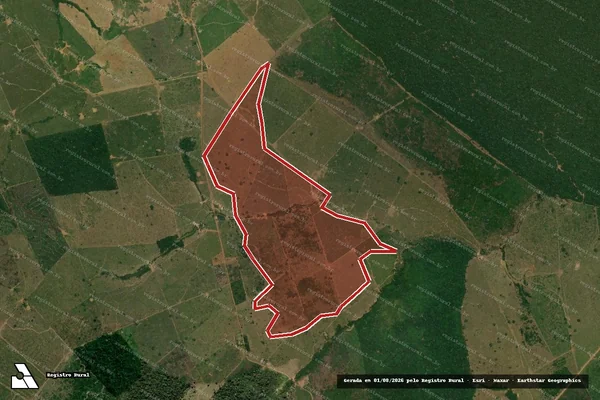 Imagem de satélite de Infração Ambiental em Porto Velho - RO