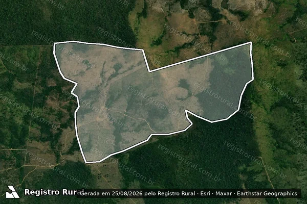 Imagem de satélite de Desmatamento em Itaituba - PA