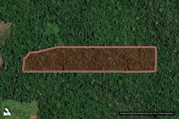 Imagem de satélite de Infração da Flora em Pacajá - PA
