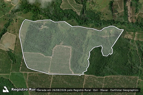 Imagem de satélite de Infração Ambiental em Umbaúba - SE