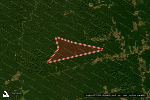 Imagem de satélite de Infração Ambiental em Novo Progresso - PA