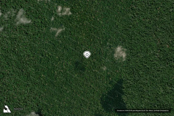 Imagem de satélite de Infração Ambiental em Trairão - PA (marcador da localização)
