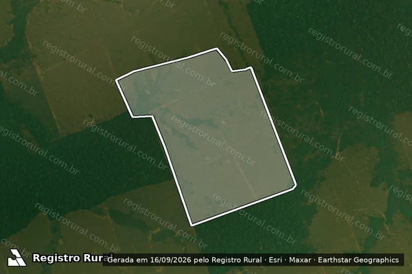 Imagem de satélite — Embargo IBAMA — Infração da Flora - Porto Velho/RO