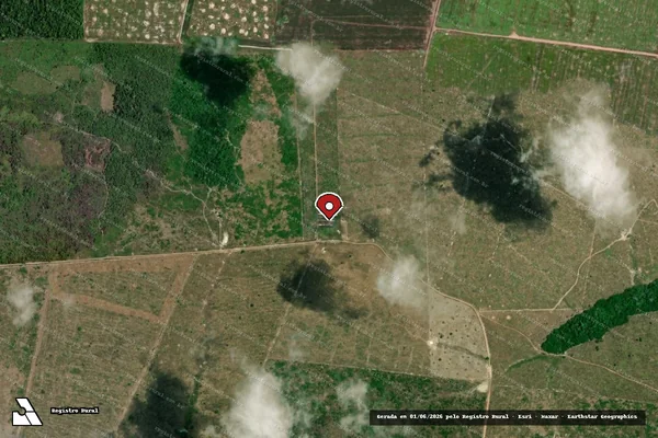 Imagem de satélite — Embargo IBAMA — Infração Ambiental - Tailândia/PA