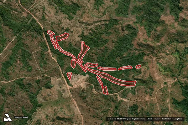Imagem de satélite de Infração da Flora em Goiatins - TO