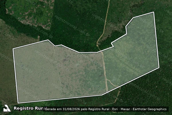 Imagem de satélite de Infração Ambiental em Apuí - AM