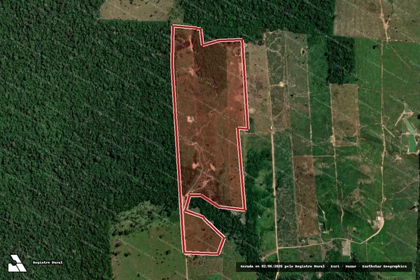 Imagem de satélite de Infração da Flora em Porto Velho - RO