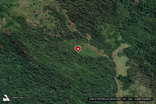 Imagem de satélite de Infração da Flora em Novo Progresso - PA (marcador da localização)