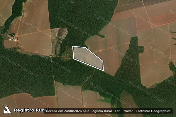 Imagem de satélite de Infração da Flora em Lucas do Rio Verde - MT