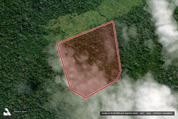Imagem de satélite de Infração Ambiental em Lábrea - AM