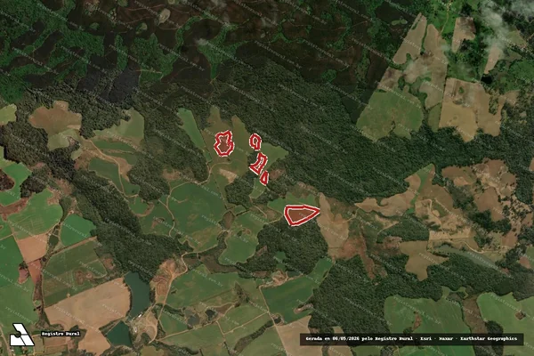Imagem de satélite de Infração da Flora em Guarapuava - PR