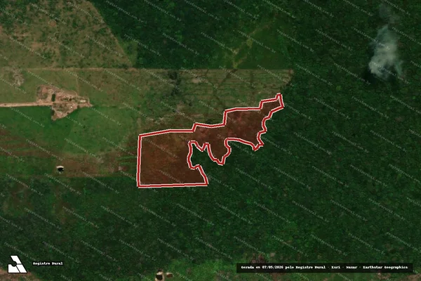 Imagem de satélite — Embargo IBAMA — Infração da Flora — Porto Velho/RO