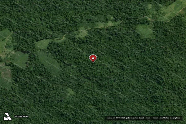 Imagem de satélite de Infração da Flora em Anapu - PA (marcador da localização)