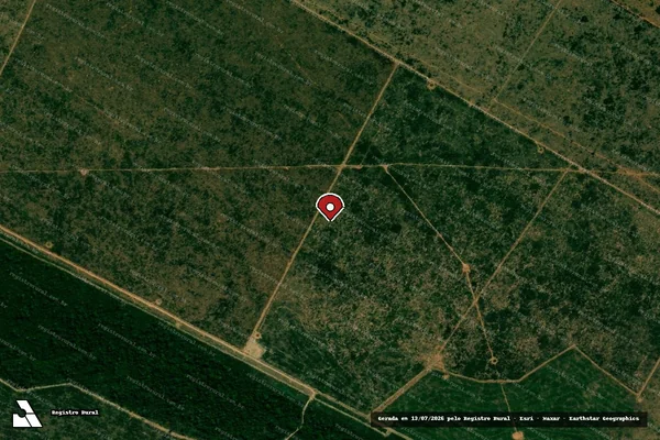Imagem de satélite de Infração da Flora em Marcelândia - MT (marcador da localização)