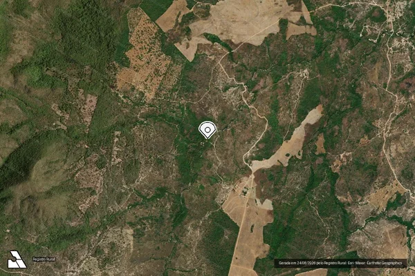 Imagem de satélite de Infração Ambiental em Teresina de Goiás - GO (marcador da localização)