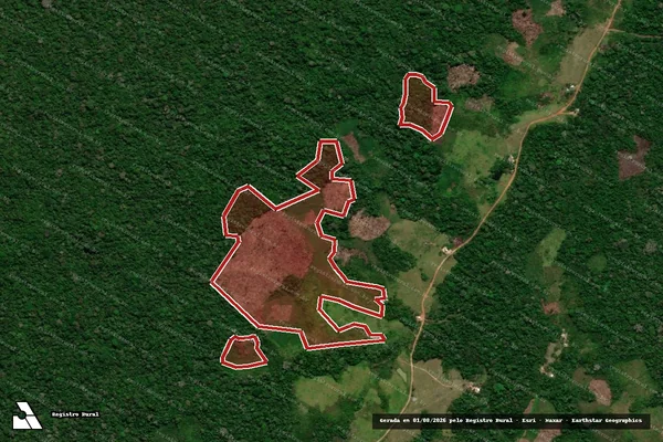 Imagem de satélite — Embargo Ambiental — Cruzeiro Do Sul/AC