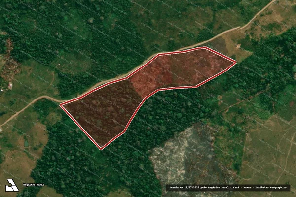 Imagem de satélite de Infração da Flora em Feijó - AC