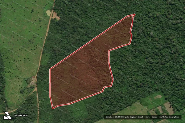 Imagem de satélite de Infração Ambiental em Mojuí dos Campos - PA