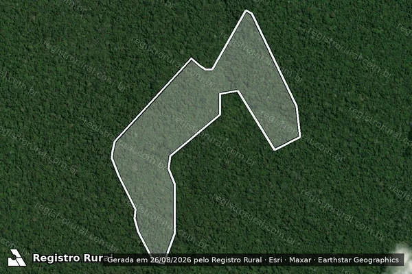 Imagem de satélite de Infração da Flora em Portel - PA