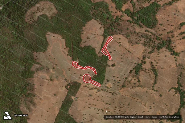 Imagem de satélite de Infração da Flora em Damianópolis - GO